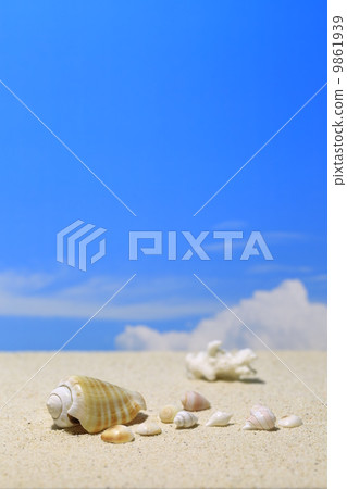 Shells on a sandy beach 9861939