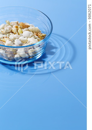 Seashells in glassware 9862071