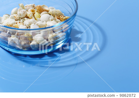 Seashells in glassware 9862072