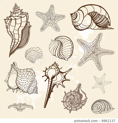Sea collection. Hand drawn vector illustration 9862137