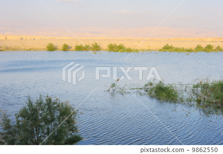 Reservoir in the Arava desert 9862550