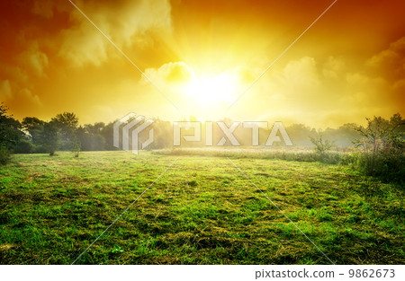 Meadow at sunset 9862673