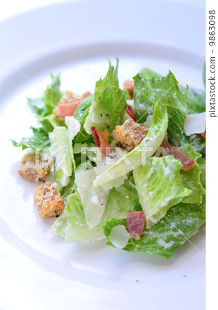 凱撒沙拉 9863098