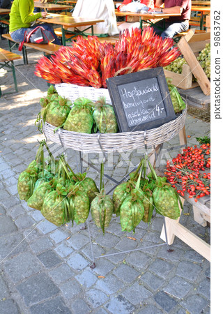 German hop sales stand 9863762
