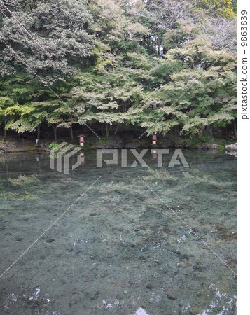 Mt.Fuji Hongu Sengen Taisha Shrine Wakutama Pond 9863839
