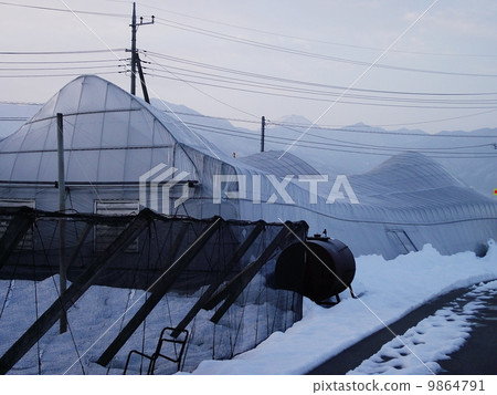 The house collapsed due to a heavy snowfall The house collapsed due to a heavy snowfall 9864791