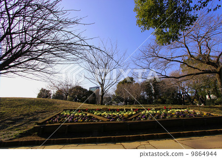 賽戈山公園 9864944