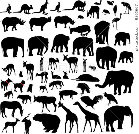 Lots of Animal vector silhouettes Lots of Animal vector silhouettes 9865667