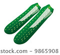 zucchini  9865908
