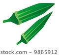 Okra 9865912