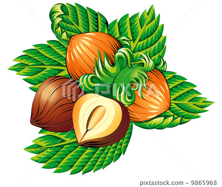 Nuts Nuts 9865968