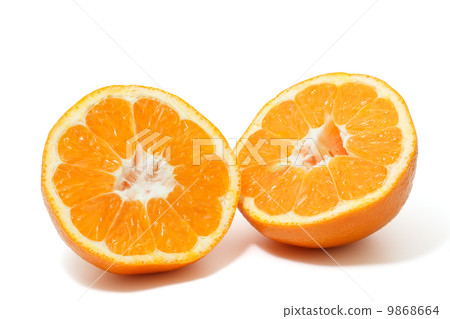 Good-natured 9868664