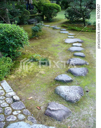 The openland of the ancestor The openland of the ancestor 9870087