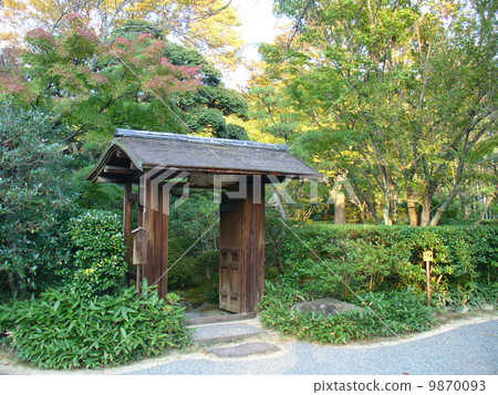 祖先的開闊地 祖先的開闊地 9870093