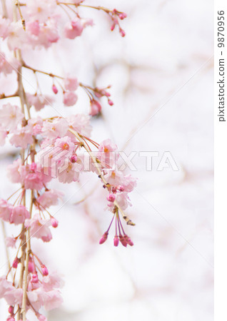 重重閃爍 重重閃爍 9870956