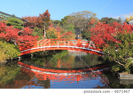 Hosei Bridge in Kyoto Shinsen Garden 9871467
