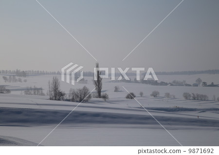 Morning of Biei Morning of Biei 9871692