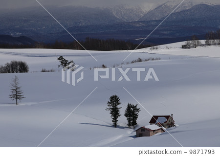 紅屋頂的房子 9871793