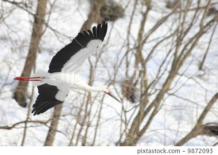 Snow flying in the background 9872093