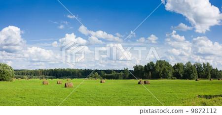 Field with haystacks panoramic view Field with haystacks panoramic view 9872112