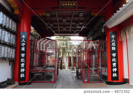 Kyoto City Higashi Shrine Kyoto City Higashi Shrine 9872302