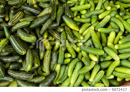 Fresh organic cucumbers at asian market Fresh organic cucumbers at asian market 9872417