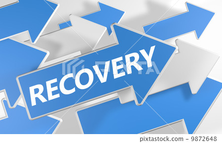Recovery Recovery 9872648