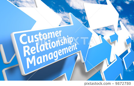 Customer Relationship Management 9872780