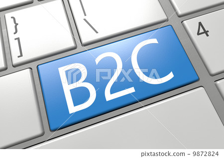 Business to Customer Business to Customer 9872824