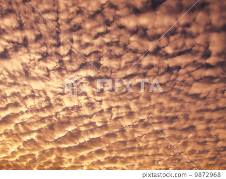 Sheep clouds 9872968