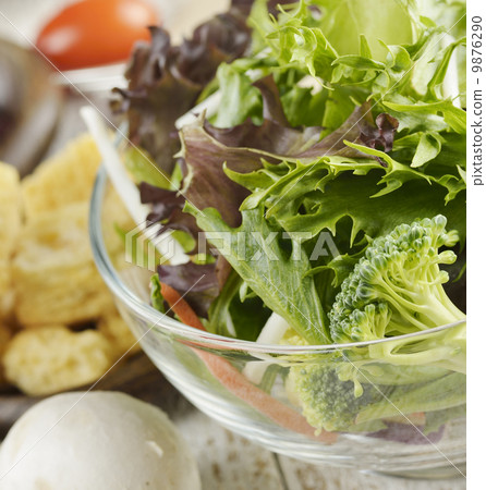 Vegetable Salad Vegetable Salad 9876290