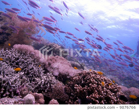 The sea of Mactan The sea of Mactan 9876766