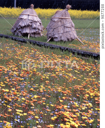 Flower garden in the country Flower garden in the country 9877288
