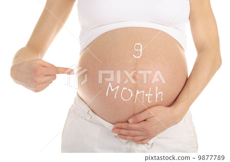 stomachs of pregnant women with the inscription stomachs of pregnant women with the inscription 9877789