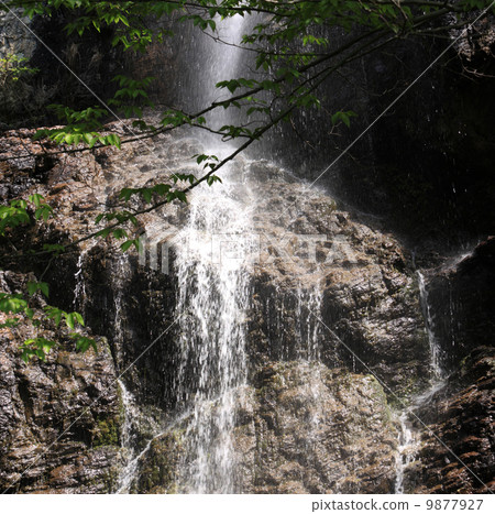 香川縣三豐市“不動的瀑布” 9877927