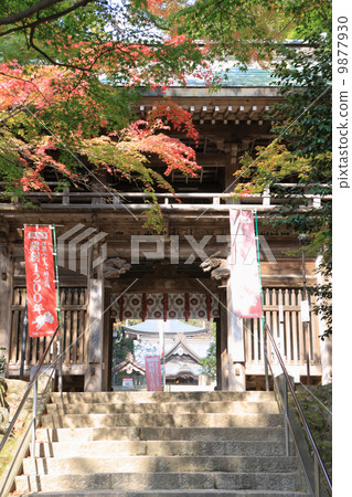 秋季四國佛88號佛教寺院“Okuboji”(申請地方)秋葉和Yamanmon(比曼寺) 秋季四國佛88號佛教寺院“Okuboji”(申請地方)秋葉和Yamanmon(比曼寺) 9877930