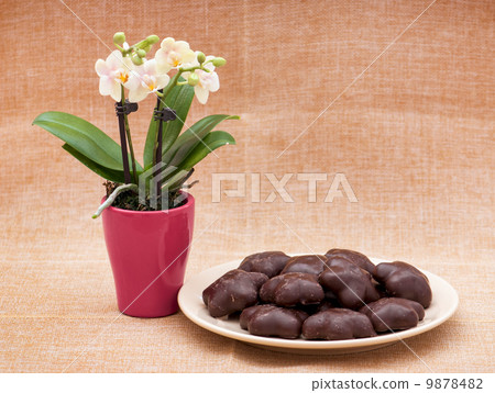 Orchid flower and gingerbread cookies Orchid flower and gingerbread cookies 9878482