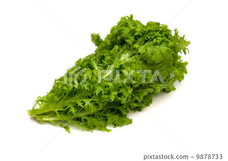 Wasabi - Brassica juncea 9878733