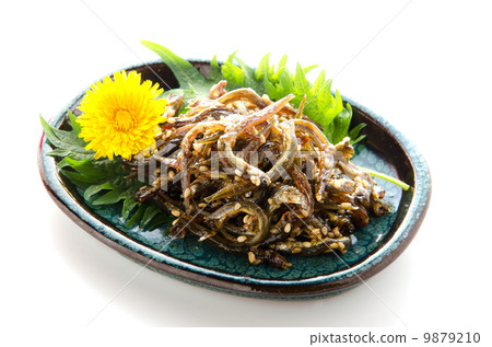 浣熊的Tsukudani 9879210