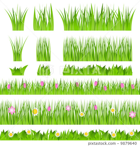 Vector Grass 9879640