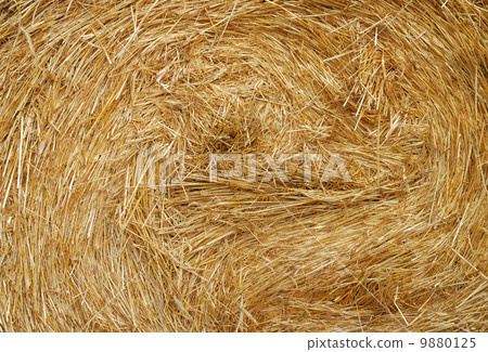 Haystack 9880125