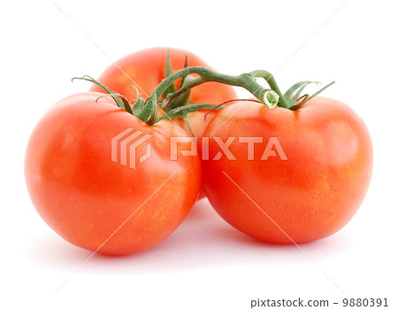 Tomatoes Tomatoes 9880391