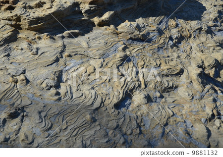 Shirahama Ring Shirahama Ring 9881132