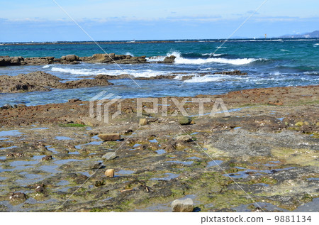 Ezu Ryo coast 9881134