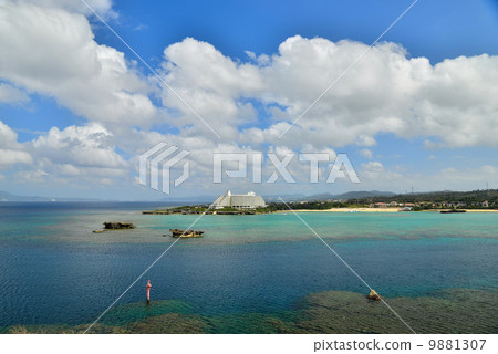 Manza hair sea 9881307