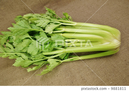 Light vegetables · celery 1 stock · linen bag back side horizontal level Light vegetables · celery 1 stock · linen bag back side horizontal level 9881811