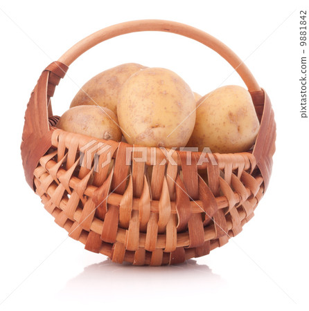 Potato tuber  in wicker basket isolated on white background 9881842