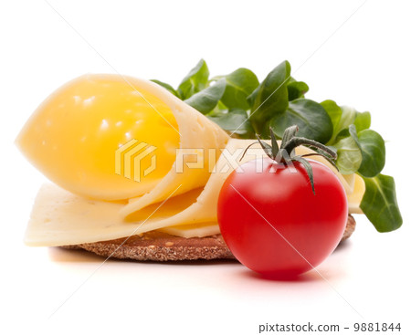 Cheese sandwich isolated on white background cutout Cheese sandwich isolated on white background cutout 9881844