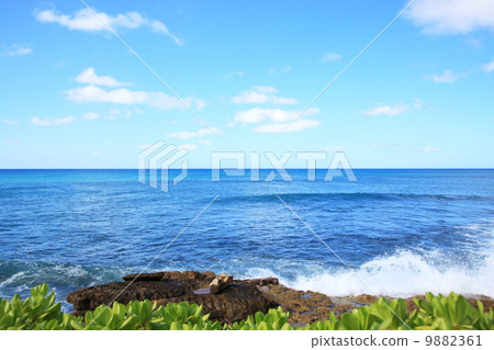 Horizontal line and wave 9882361