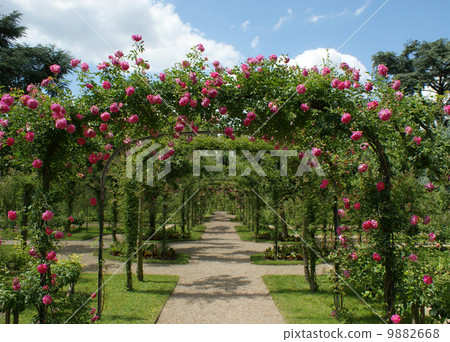 pergola in a french garden 9882668